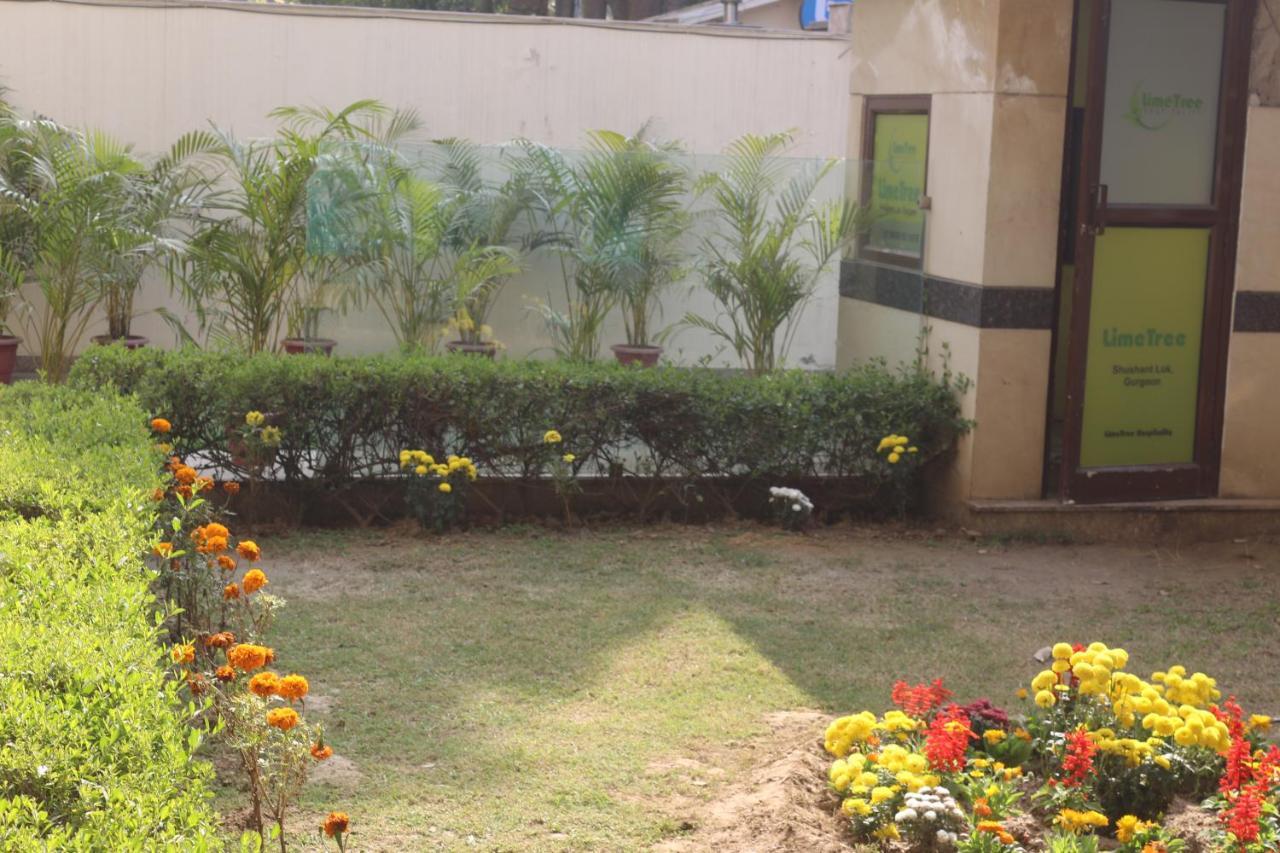 Lime Tree Hotel Sushant Lok Gurgaon Sector 29 Next To Iffco Chowk Metro Eksteriør billede
